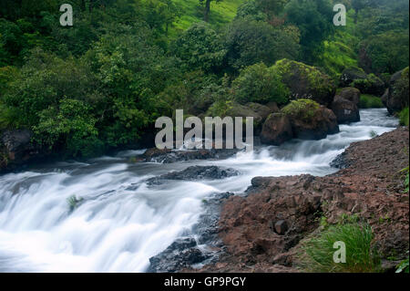 Das Bild des Streams in Satara, Maharashtra, Western Ghats, Monsun, Indien Stockfoto