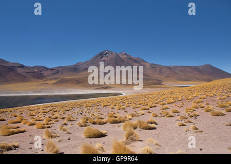 Laguna Miscanti, Atacama Wüste, Chile. Stockfoto