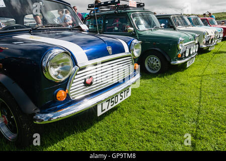 Reihe von Minis in einem Mini Autobesitzer Club Ausstellung Stockfoto