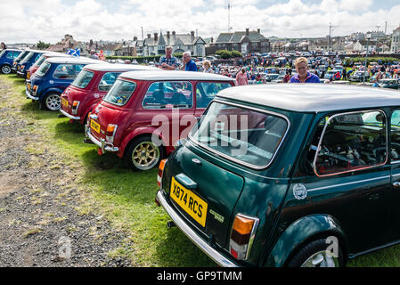 Reihe von Minis in einem Mini Autobesitzer Club Ausstellung Stockfoto