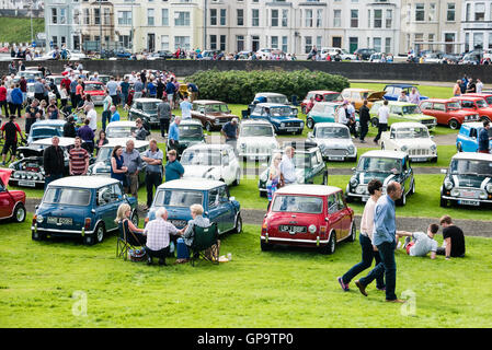 Viele Austin Minis abgestellt auf einem Mini Autobesitzer Club Ausstellung Stockfoto