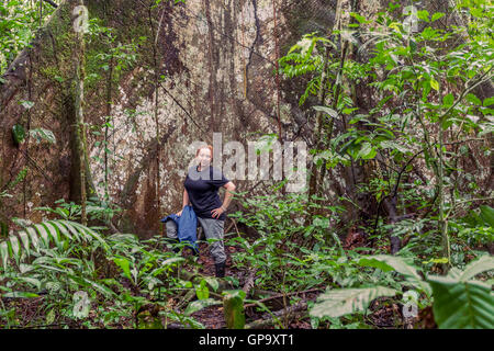 Junge Biologin Frau mit Regenmantel stehen neben einem Baum Kapok, Ceiba Pentandra im Cuyabeno Nationalpark, Südamerika Stockfoto