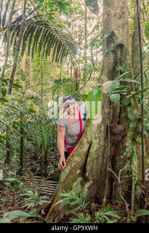 Junge kaukasischen glücklich Frau stand neben einem Baum Kapok, Ceiba Pentandra im Cuyabeno Nationalpark, Südamerika Stockfoto