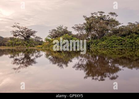 Blick über den Cuyabeno River, Cuyabeno Nationalpark, Ecuador, Südamerika Stockfoto