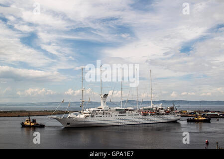 Windsurfing Luxusliner in Leith Harbour Stockfoto