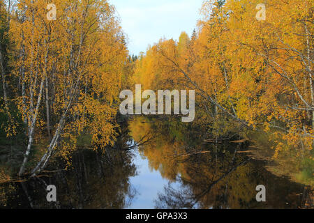 Bergfluss mit Stromschnellen im Herbst Blätter auf dem Wasser schweben. Herbstlichen Wald.