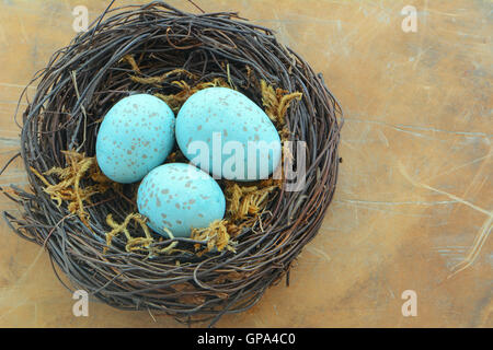Blau gesprenkelte Eiern in gewebte Rebe nisten auf rustikalen Hintergrund im Querformat mit Textfreiraum Stockfoto