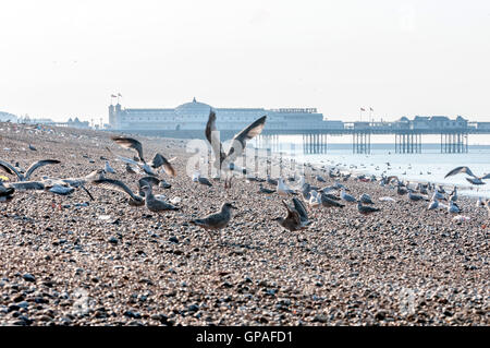 Müll, verließ am Morgen nach nach einem anstrengenden Tag am Strand von Brighton Stockfoto