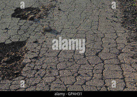 zerkleinerten asphalt Stockfoto