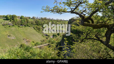 Der Monsal trail durch Chee Dale in der Nähe von Buxton im Peak District National Park. Stockfoto