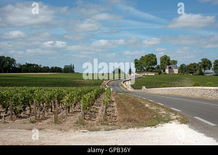 Pauillac Weinregion Frankreich - Reben und Weinberge in Pauillac einen Wein produzierenden Bereich der Bordeaux-Region Frankreich Stockfoto