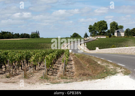 Pauillac Weinregion Frankreich - Reben und Weinberge in Pauillac einen Wein produzierenden Bereich der Bordeaux-Region Frankreich Stockfoto