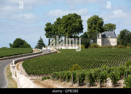 Pauillac Weinregion Frankreich - August 2016 - Reben und Weinberge in Pauillac einen Wein produzierenden Bereich der Bordeaux-Region Frankreich Stockfoto