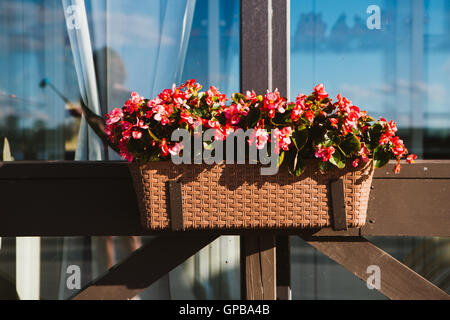 Outdoor-Beet mit Farben auf dem Hintergrund eines Fensters. Stockfoto
