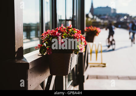 Outdoor-Beet mit Farben auf dem Hintergrund eines Fensters. Stockfoto