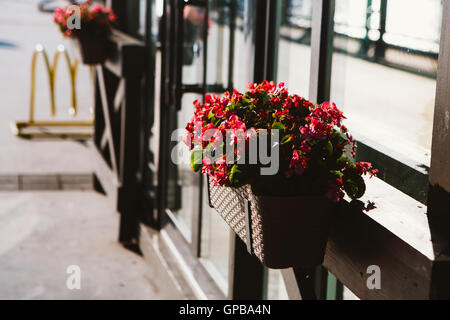 Outdoor-Beet mit Farben auf dem Hintergrund eines Fensters. Stockfoto