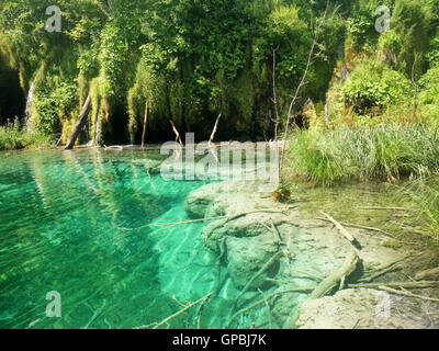 PLITVICE, Kroatien: Transparent grüne Gewässer im Nationalpark Plitvicer Seen in Kroatien Stockfoto