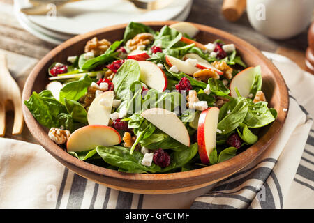 Hausgemachte Herbst Apfel Walnuss Spinat-Salat mit Käse und Preiselbeeren Stockfoto