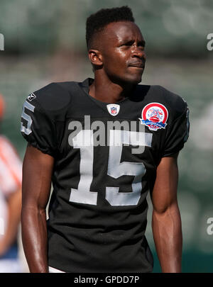 25. Oktober 2009; Oakland, Kalifornien, USA;  Oakland Raiders Wide Receiver Johnnie Lee Higgins (15) vor dem Spiel gegen die New York Jets im Oakland-Alameda County Coliseum. New York besiegten Oakland 38-0. Stockfoto