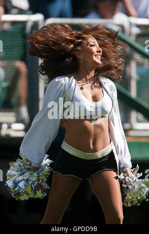 25. Oktober 2009; Oakland, Kalifornien, USA;  Ein Oakland Raiders Cheerleader im ersten Quartal gegen die New York Jets im Oakland-Alameda County Coliseum. New York gewann 38-0. Stockfoto