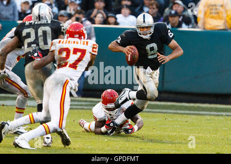 7. November 2010; Oakland, Kalifornien, USA;  Oakland Raiders Quarterback Jason Campbell (8) ist im vierten Quartal bei Oakland-Alameda County Coliseum von geplündert. Stockfoto