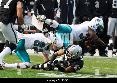 28. November 2010; Oakland, Kalifornien, USA;  Miami Dolphins Runningback Ricky Williams (34) von Oakland Raiders Cornerback Nnamdi Asomugha (21) im ersten Quartal im Oakland-Alameda County Coliseum in Angriff genommen wird. Stockfoto