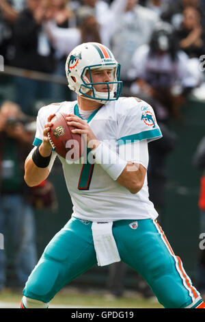 28. November 2010; Oakland, Kalifornien, USA;  Miami Dolphins quarterback Chad Henne (7) im ersten Quartal gegen die Oakland Raiders Oakland-Alameda County Coliseum. Miami besiegte Oakland 33-17. Stockfoto