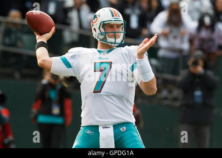 November 28, 2010; Oakland, Ca, USA; Miami Dolphins quarterback chad Henne (7) wirft einen Pass gegen die Oakland Raiders im ersten Quartal bei Oakland-Alameda County Coliseum. Stockfoto