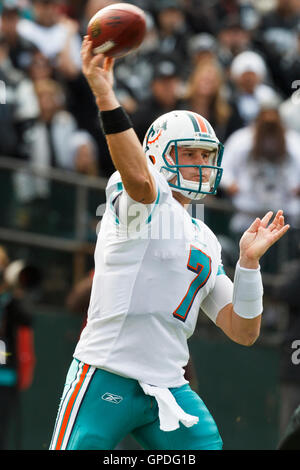 November 28, 2010; Oakland, Ca, USA; Miami Dolphins quarterback chad Henne (7) wirft einen Pass gegen die Oakland Raiders im ersten Quartal bei Oakland-Alameda County Coliseum. Stockfoto