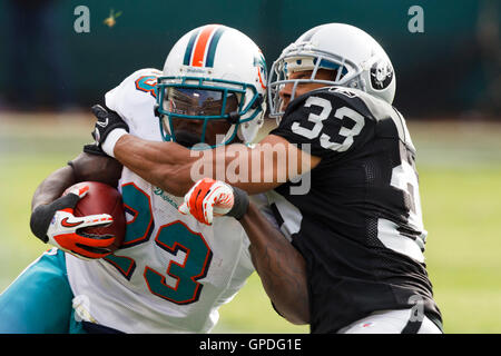 28. November 2010; Oakland, Kalifornien, USA;  Miami Dolphins Runningback Ronnie Brown (23) von Oakland Raiders Safety Tyvon Branch (33) im ersten Quartal im Oakland-Alameda County Coliseum in Angriff genommen wird. Miami besiegte Oakland 33-17. Stockfoto