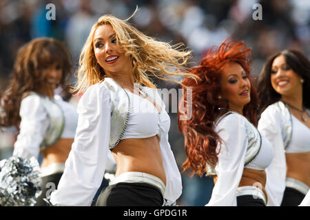 28. November 2010; Oakland, Kalifornien, USA;  Oakland Raiders Cheerleader führen im ersten Quartal gegen die Miami Dolphins im Oakland-Alameda County Coliseum. Miami besiegte Oakland 33-17. Stockfoto