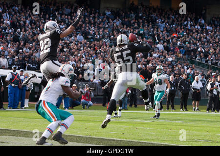 November 28, 2010; Oakland, Ca, USA; Oakland Raiders linebacker Rolando mcclain (55) fängt ein Pass für die Miami Dolphins wide receiver davone Bess (15) im Laufe des zweiten Quartals an den Oakland bestimmt Oakland-Alameda County Coliseum. Stockfoto
