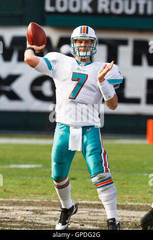 November 2010; Oakland, CA, USA; der Miami Dolphins Quarterback Chad Henne (7) wirft im zweiten Quartal im Oakland-Alameda County Coliseum einen Pass gegen die Oakland Raiders. Stockfoto