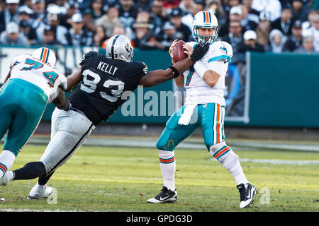 28. November 2010; Oakland, Kalifornien, USA;  Miami Dolphins Quarterback Chad Henne (7) ist im dritten Quartal bei Oakland-Alameda County Coliseum von Oakland Raiders defensive Tackle Tommy Kelly (93) geplündert. Stockfoto