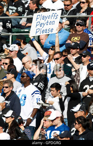 26. Dezember 2010; Oakland, Kalifornien, USA;  Eine Fan der Indianapolis Colts hält ein Schild zur Unterstützung von Quarterback Peyton Manning (18) im ersten Quartal gegen die Oakland Raiders Oakland-Alameda County Coliseum. Indianapolis besiegten Oakland 31-26. Stockfoto