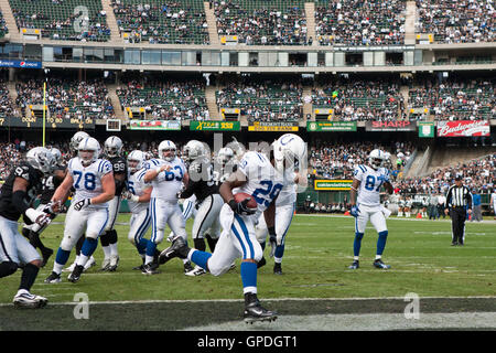 26. Dezember 2010; Oakland, Kalifornien, USA;  Indianapolis Colts Runningback Joseph Addai (29) erhält einen Touchdown gegen die Oakland Raiders im zweiten Quartal bei Oakland-Alameda County Coliseum. Stockfoto