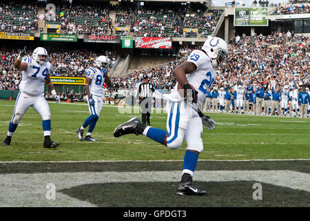 26. Dezember 2010; Oakland, Kalifornien, USA;  Indianapolis Colts Runningback Joseph Addai (29) erhält einen Touchdown gegen die Oakland Raiders im zweiten Quartal bei Oakland-Alameda County Coliseum. Stockfoto