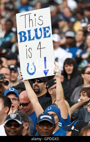 26. Dezember 2010; Oakland, Kalifornien, USA;  Eine Fan der Indianapolis Colts hält ein Schild im dritten Quartal gegen die Oakland Raiders Oakland-Alameda County Coliseum. Indianapolis besiegten Oakland 31-26. Stockfoto