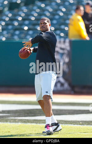 2. Oktober 2011; Oakland, Kalifornien, USA; Oakland Raiders Quarterback Jason Campbell (8) erwärmt sich vor dem Spiel gegen die New England Patriots O.co Coliseum. Stockfoto