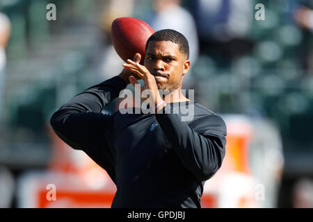 2. Oktober 2011; Oakland, Kalifornien, USA; Oakland Raiders Quarterback Jason Campbell (8) erwärmt sich vor dem Spiel gegen die New England Patriots O.co Coliseum. Stockfoto