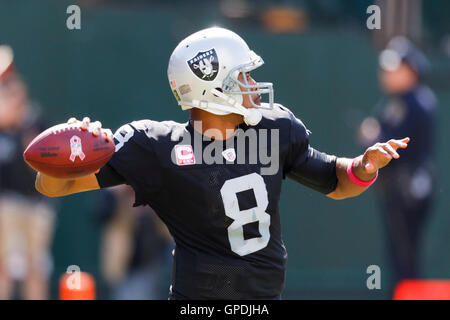 Okt 2, 2011; Oakland, Ca, USA; Oakland Raiders Quarterback Jason Campbell (8) gegen die New England Patriots im zweiten Quartal o.co Kolosseum. Stockfoto