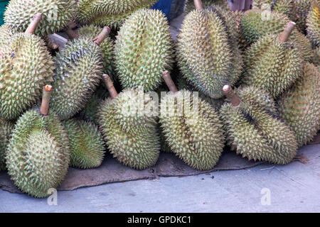 Durian-Frucht in Thailand Markt für den Verkauf Stockfoto