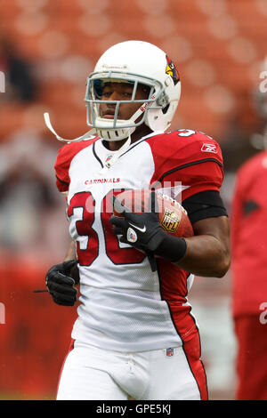 20 Nov, 2011; San Francisco, Ca, USA; Arizona-Kardinäle zurück laufen larod Stephens - Heulen (36) nach dem Aufwärmen vor dem Spiel gegen die San Francisco 49ers im Candlestick Park. San Francisco besiegt Arizona 23-7. Stockfoto