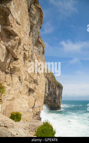 Wellen auf den Klippen in der Nähe von Dancing Ledge auf der Isle of Purbeck Dorset. Stockfoto