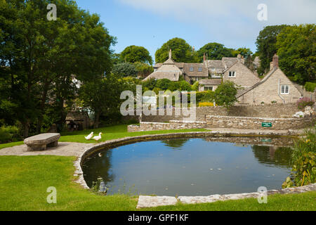 Der Dorfteich im Wert Matravers Isle of Purbeck Dorset. Stockfoto