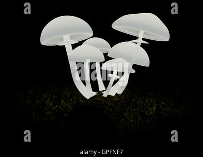 Abstrakte Pilze auf einem schwarzen Hintergrund Stockfoto