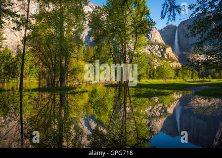 Yosemite Falls Reflexion im Merced River an der Sunrise-Nationalpark, Kalifornien Stockfoto