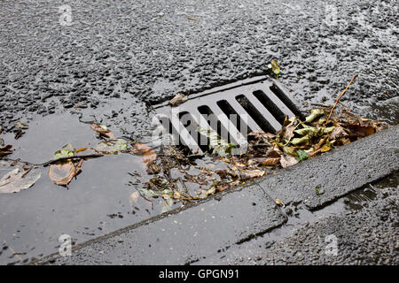 Kanalisation von Laub und Schlamm blockiert und nicht gereinigt Stockfoto