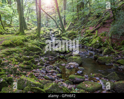 Flüsse und Wasserfälle auf Dartmoor in Devon Stockfoto