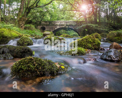 Flüsse und Wasserfälle auf Dartmoor in Devon Stockfoto